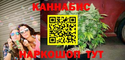 прущие грибы Можга