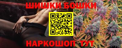 прущие грибы Можга