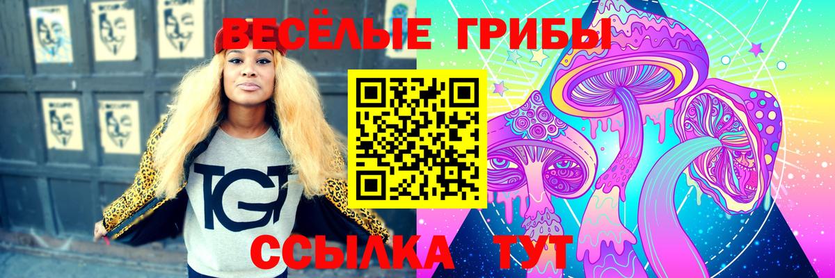 Псилоцибиновые грибы Psilocybe Славгород